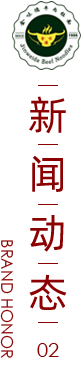 新闻资讯